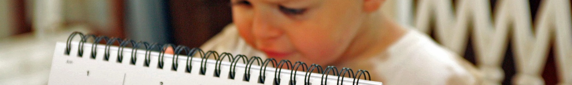Semipresencial en Atención Temprana y Desarrollo Infantil 